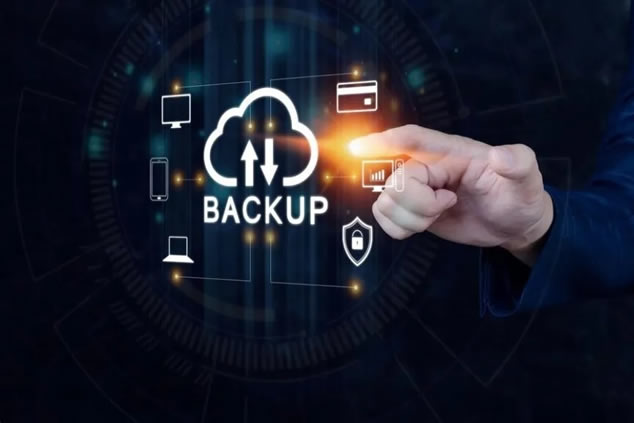 Backup Seintec